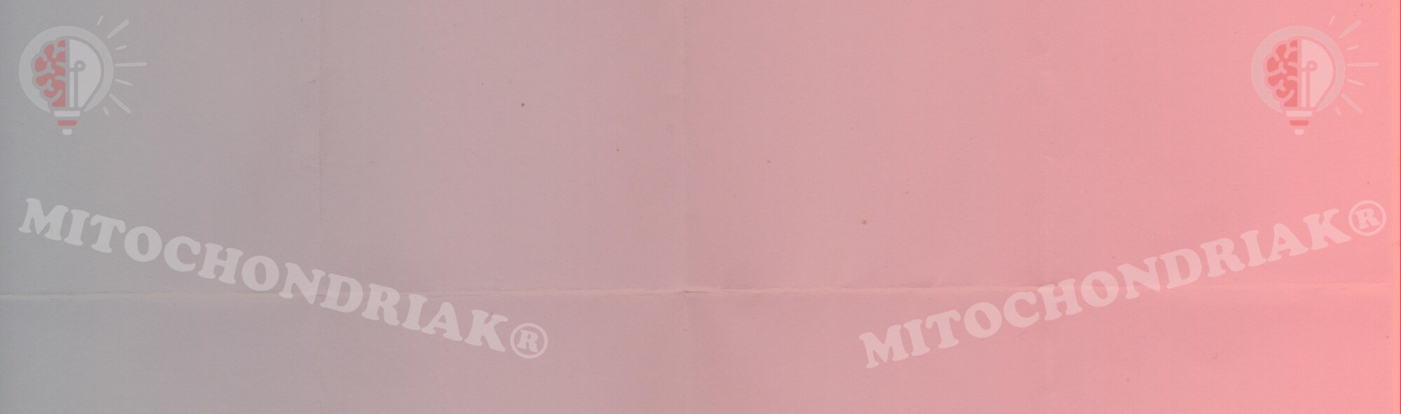 Banner notebook