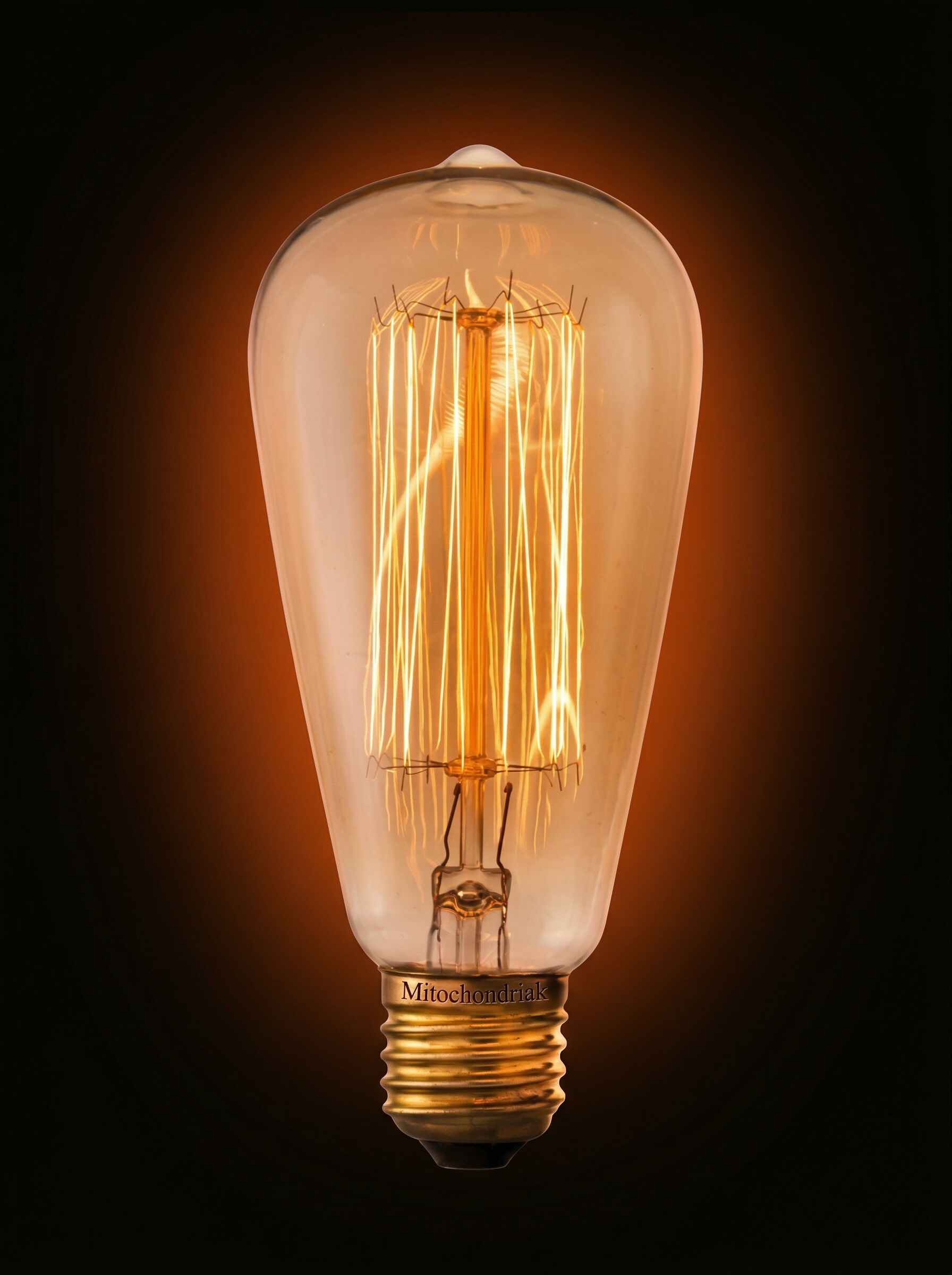 Eingeschaltete Glühlampe in länglicher Tropfenform mit vielen senkrechten, hell glühenden Drähten vor dunklem Hintergrund