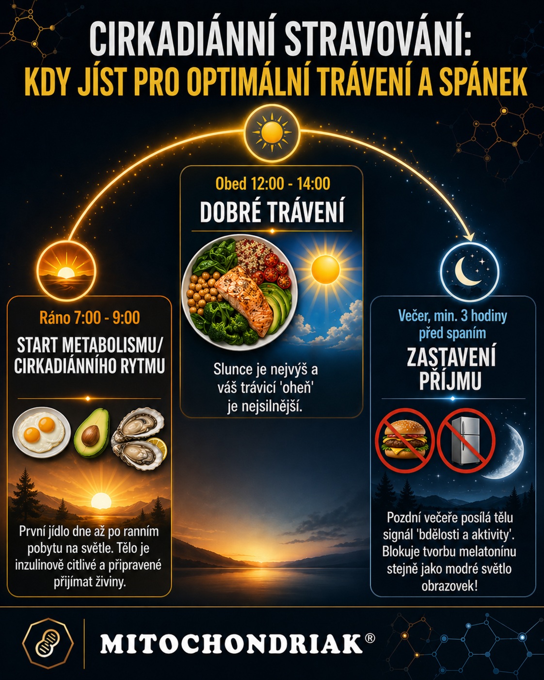 Cirkadiánní stravování, trávení a spánek
