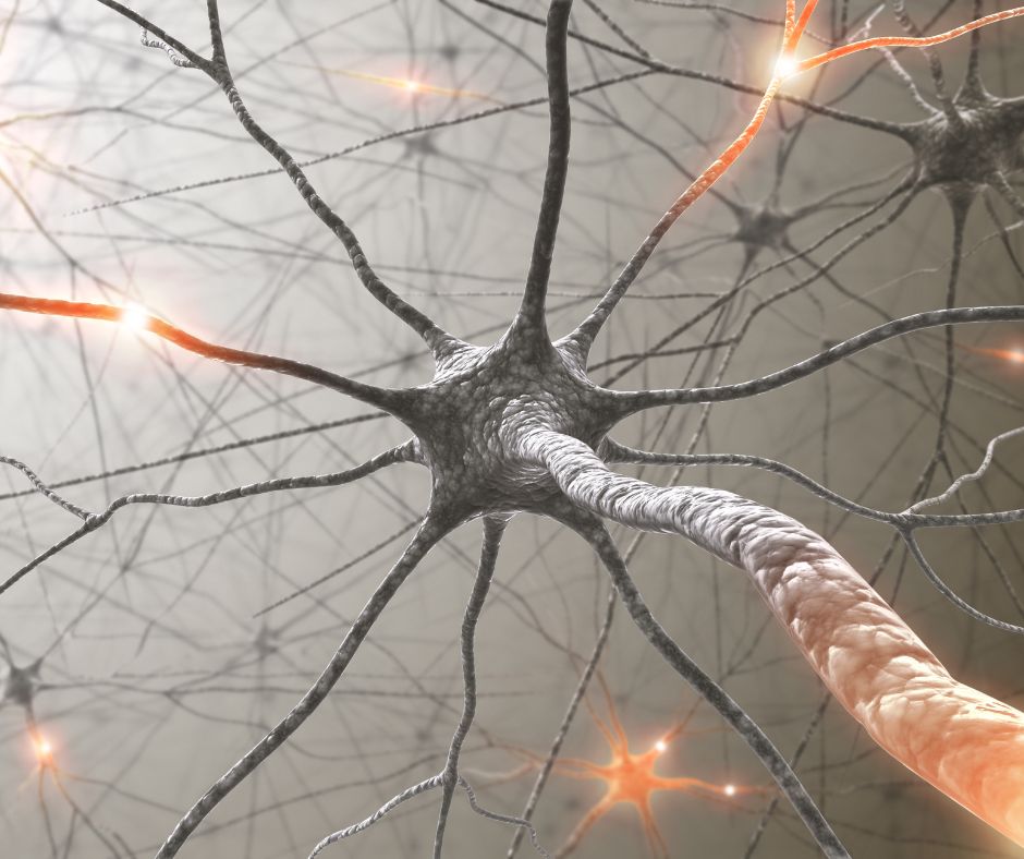 Ilustracja neuronu i komórki nerwowej przy działaniu światła podczerwieni na funkcje poznawcze mózgu