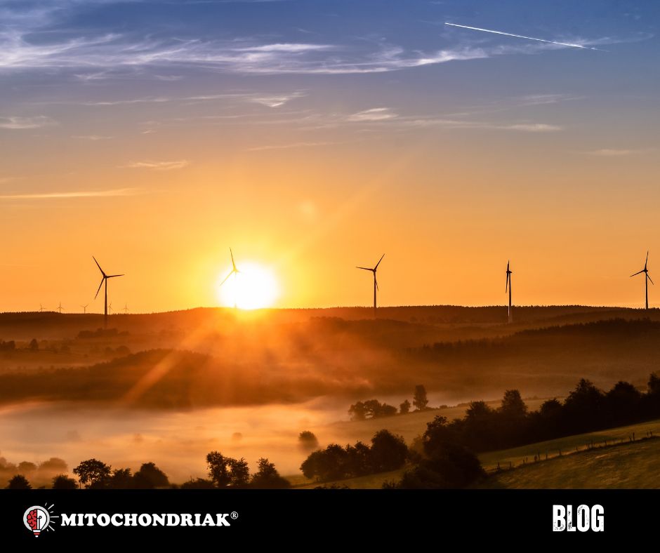Východ slunce a ranní světlo – ideální čas na bosou chůzi a grounding v přírodě